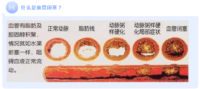 1623208231.png